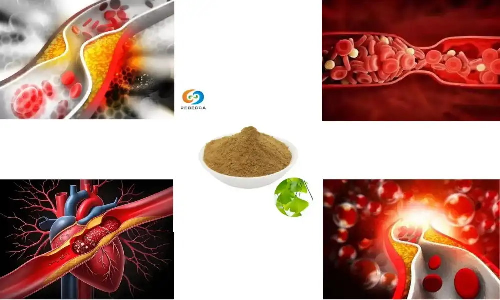 Ginkgo Leaf Powder’s Role in Cardiovascular Health
